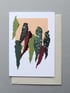 Apricot Begonia  Image 4