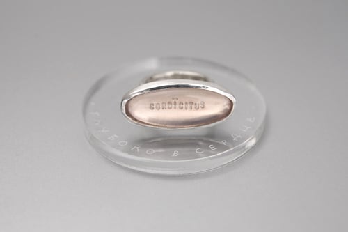 Image of "Love conquers..." silver ring with rose quartz · OMNIA VINCIT AMOR ·