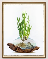  Tidepool