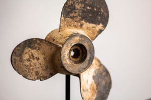 Image of Schiffsschraube Beige - Tischdekoration 