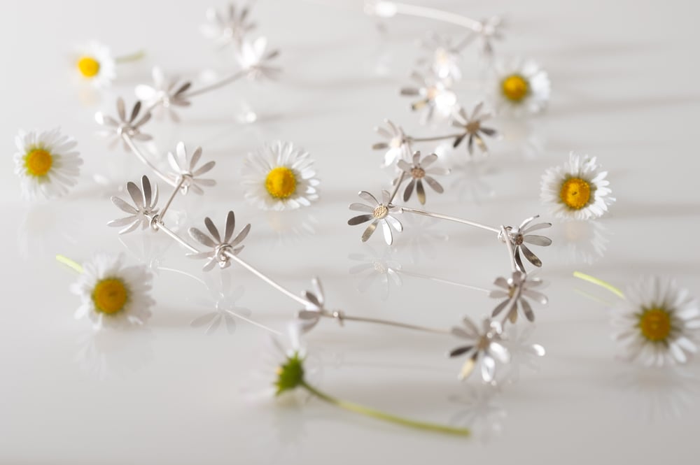 Image of Daisy chain necklace  