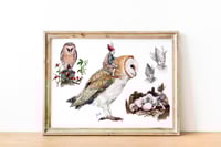 Image 4 of Elf/Follet