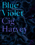 Image of Blue Violet - Shipping now