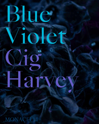 Blue Violet - Shipping now