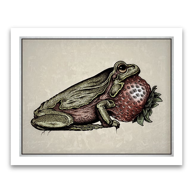 Frog With A Pipe: 8x10 Art Print 