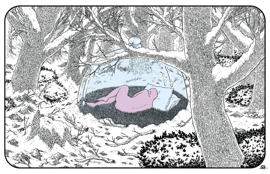 Image of Cozy