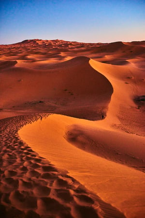 Desert Bound