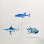 Ocean Giants 