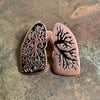 Lungs