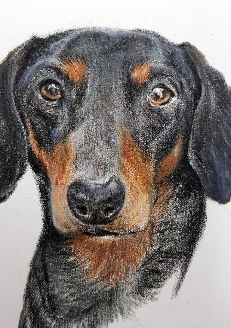 Pet Portraits - Custom Order (Colour)