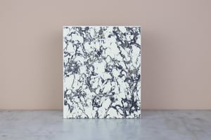 Image of SUNSET MOTH - URANIA RIPHAEUS