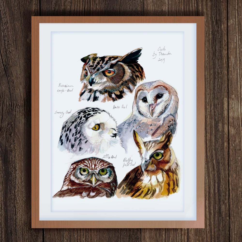 Image of Owls print