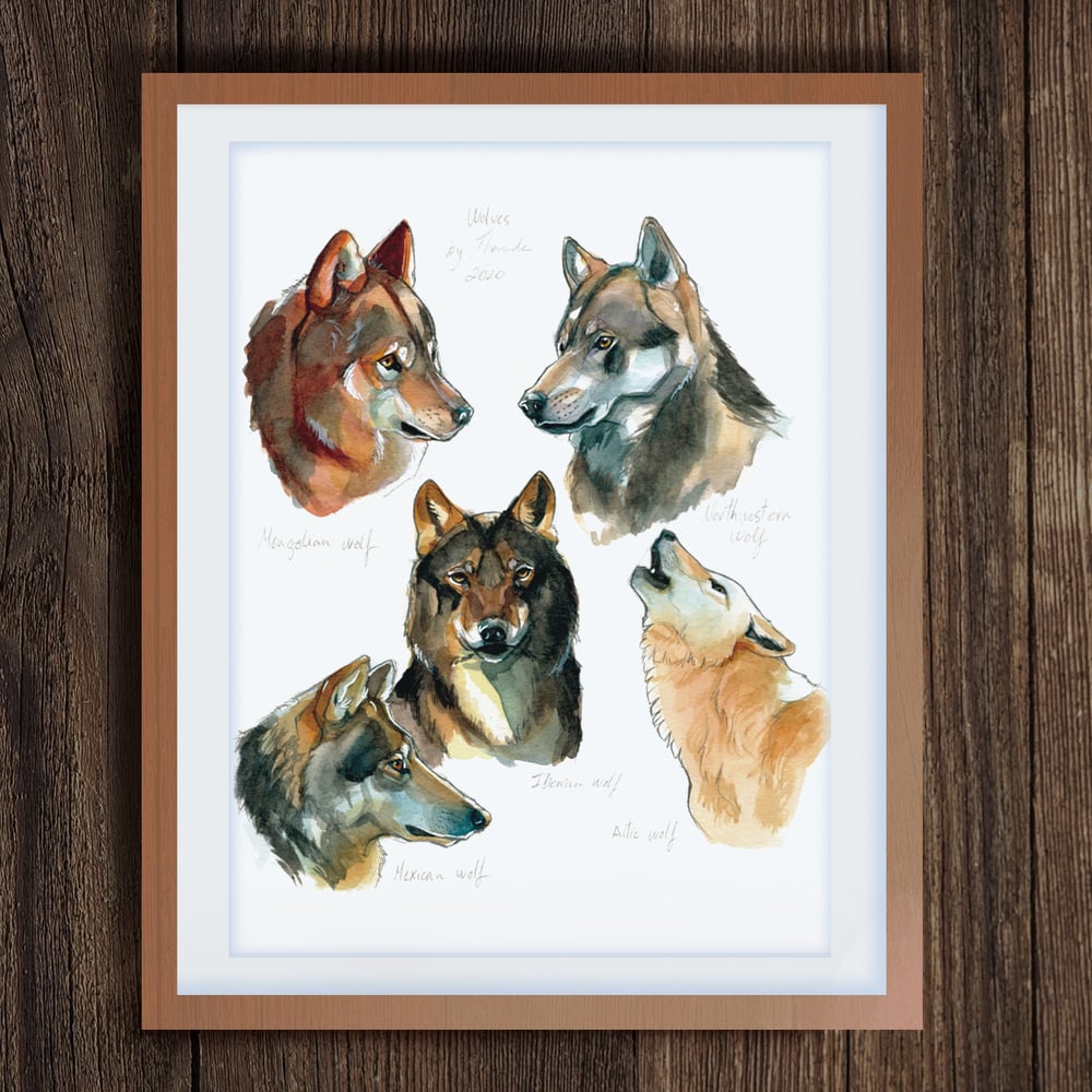 Image of Wolves print