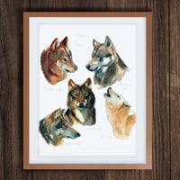 Wolves print
