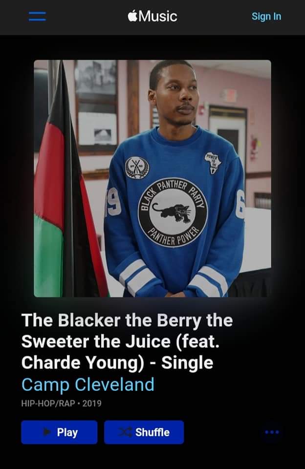 Image of The Blacker the Berry 
