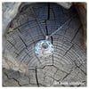 Collier spirale Pyrite