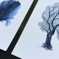 Image 4 of Antique bleu