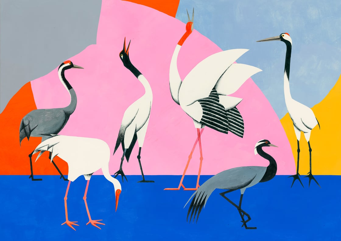Image of Cranes