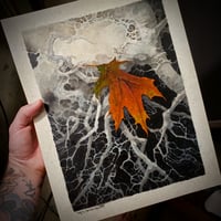Image 1 of "The Last of Fall" Art Print 