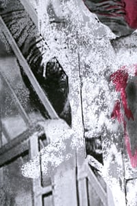 Image 2 of Konrad Trzeszczkowski "Jestem Protistą - Śpiwór"