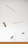 MARTINS-PÊCHEURS D'EUROPE / Ocre