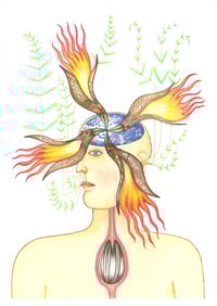 Image 1 of Firebird