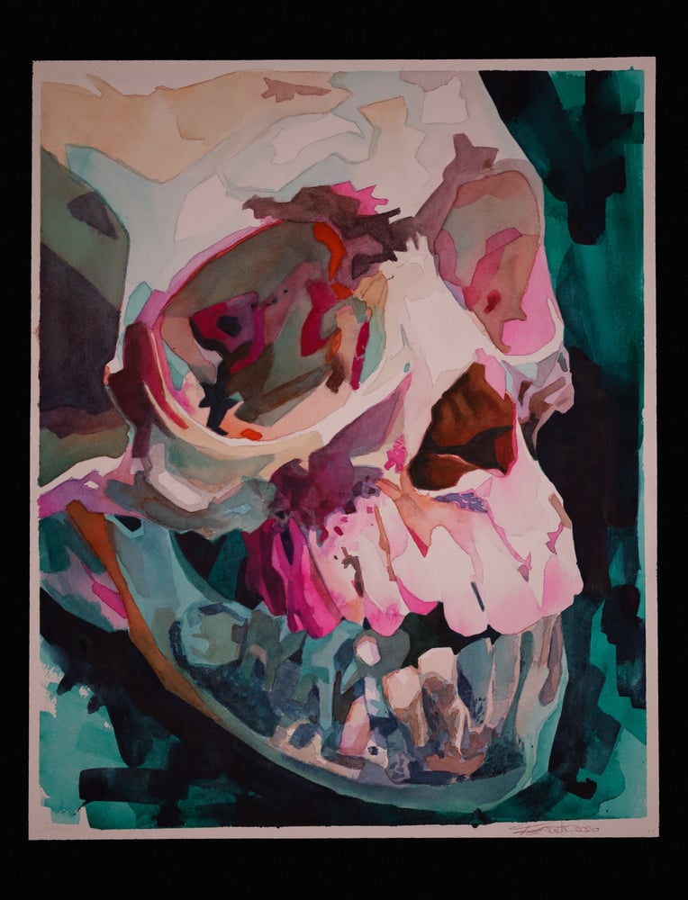Image of Skull 01 