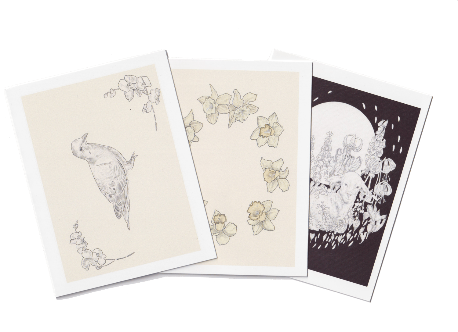 Greeting Cards
