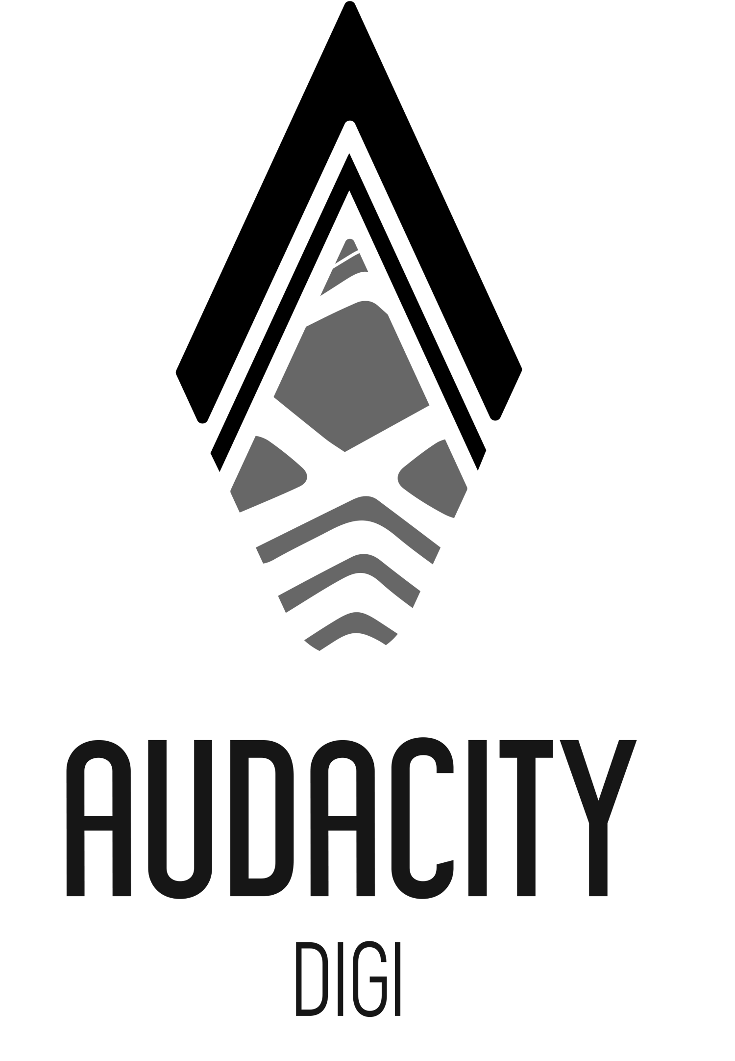 Image of [ DIGITAL PRODUCT ] AUDACITY DIGI VOLUME 2 FULL EVENT PLAYBACK