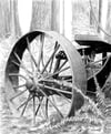 Willingdon Trail Art Print