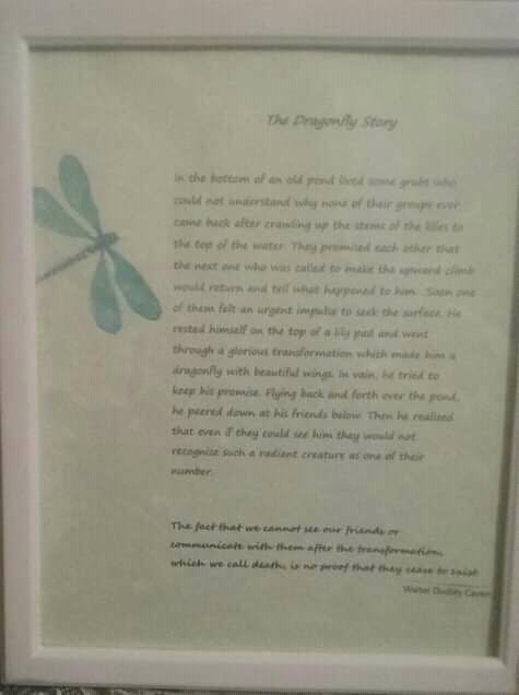 Image of Grief Gift Framed Dragonfly Story