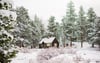 Winter Cabin Prints