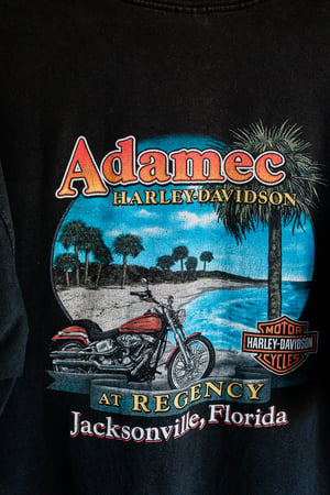 Image of Vintage Harley Davidson -  Florida Flame