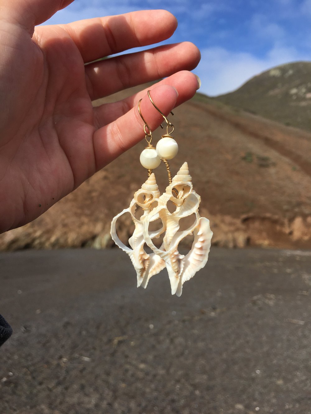 Image of Seashell Skeleton & Upcycled White Bead Earrings