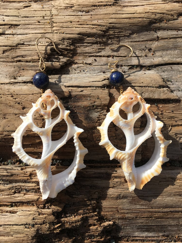 Image of Seashell Skeleton & Upcycled Blue Bead Earrings