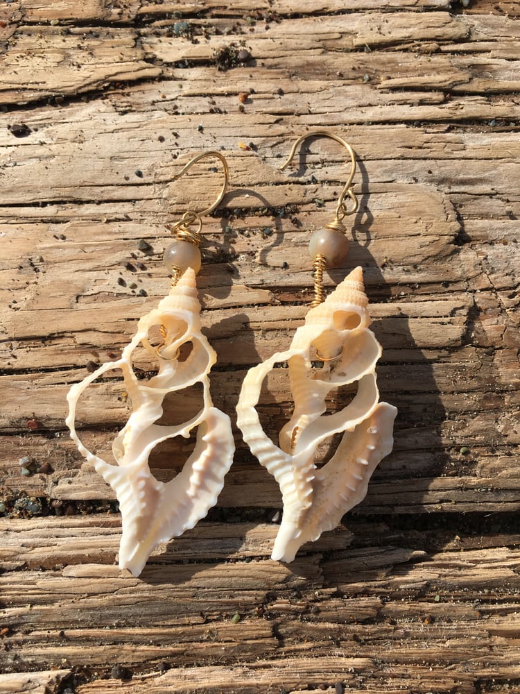 Image of Seashell Skeleton & Upcycled Brown Bead Earrings