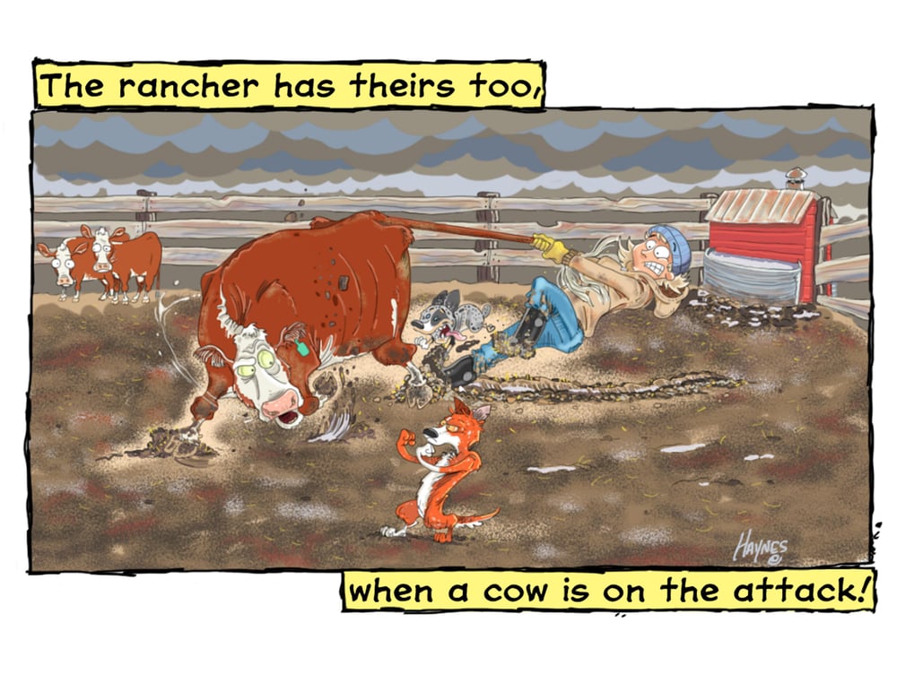 Roadie The Ranch Dog #2 Why ranch dogs make pretty good buddies