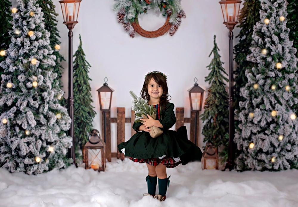 Image of Children & Family Christmas Mini DAY 4
