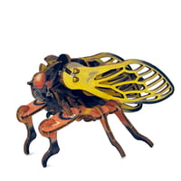 Image 1 of JCR ARTHROPODA : PHARAOH CICADA