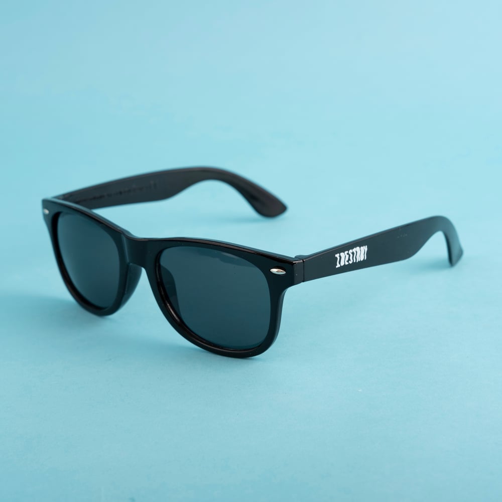 Image of IDestroy logo sunglasses