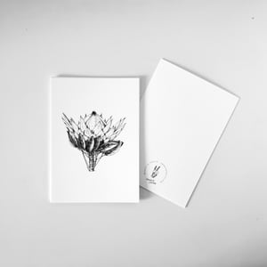 CARTE POSTALE : *Mimosa Pudica *Fritillaire *Magnolia *Iris *Protea