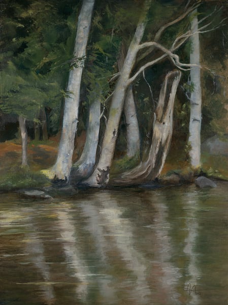 Image of Birch Trees From The Swimming Dock