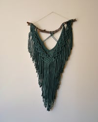 Image 4 of Juniper