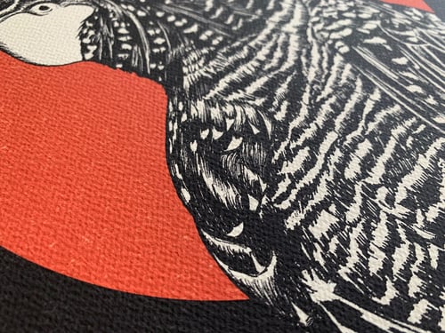 Image of ‘Black Cockatoo’ Fine Art Print