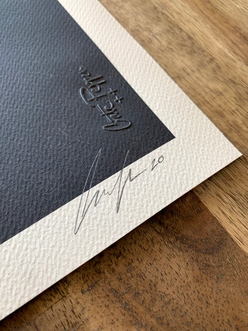 Image of ‘Red-bellied Black Snake’ Fine Art Print