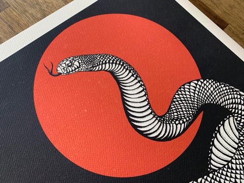 Image of ‘Red-bellied Black Snake’ Fine Art Print