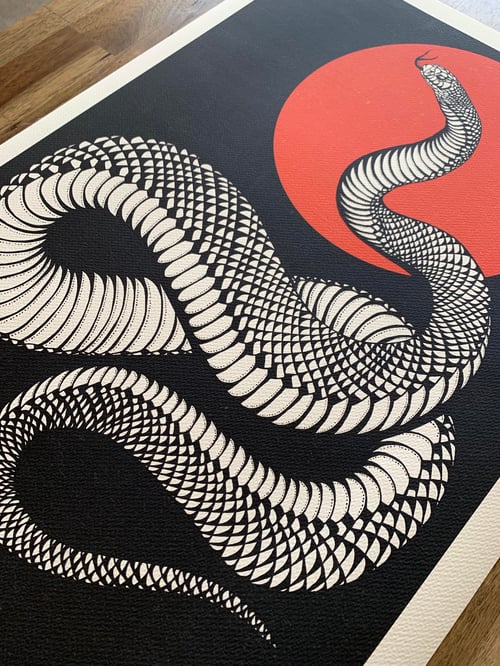 Image of ‘Red-bellied Black Snake’ Fine Art Print