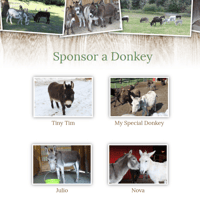 Image 2 of Sponsor a Donkey - Paper Mail Package