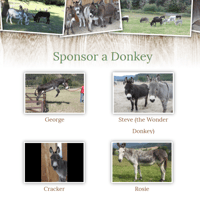 Image 3 of Sponsor a Donkey - Paper Mail Package