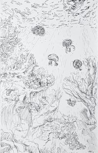 Image 1 of Dreaming with Moon Jellies